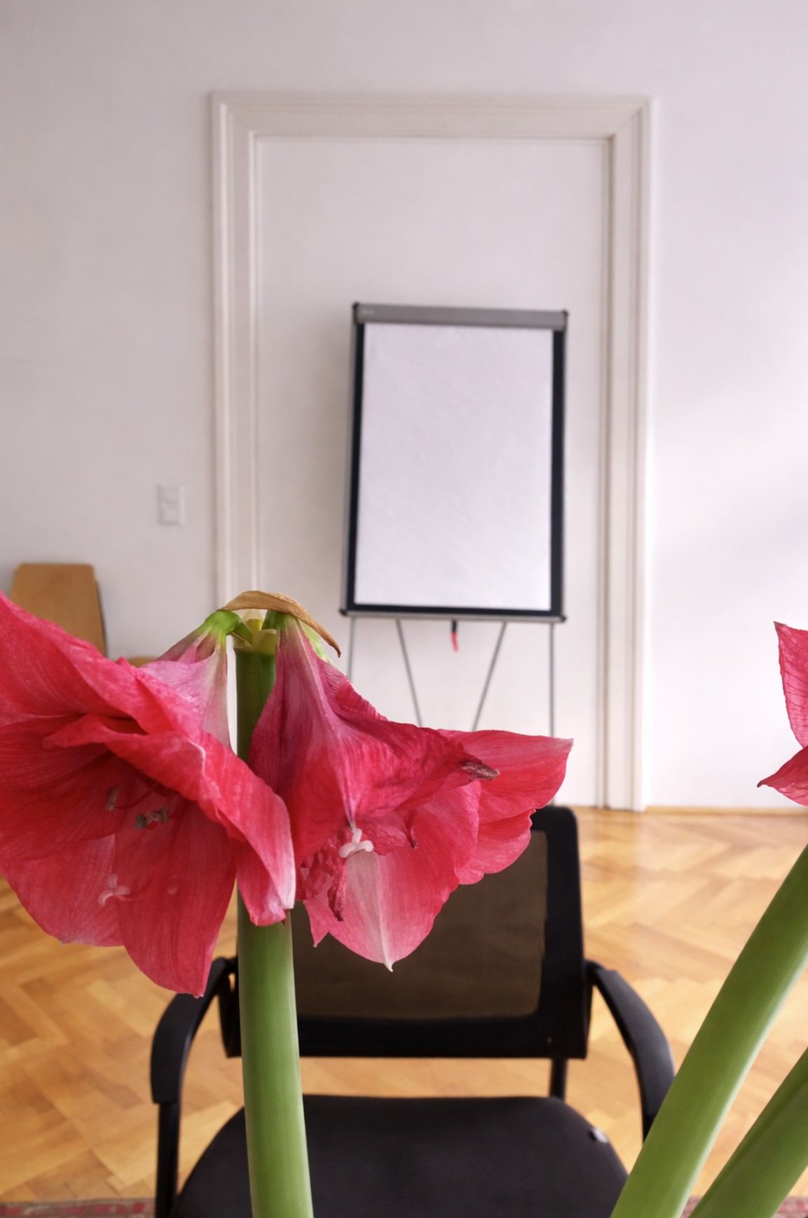 Abstraktes Naturmotiv als Hero-Bild