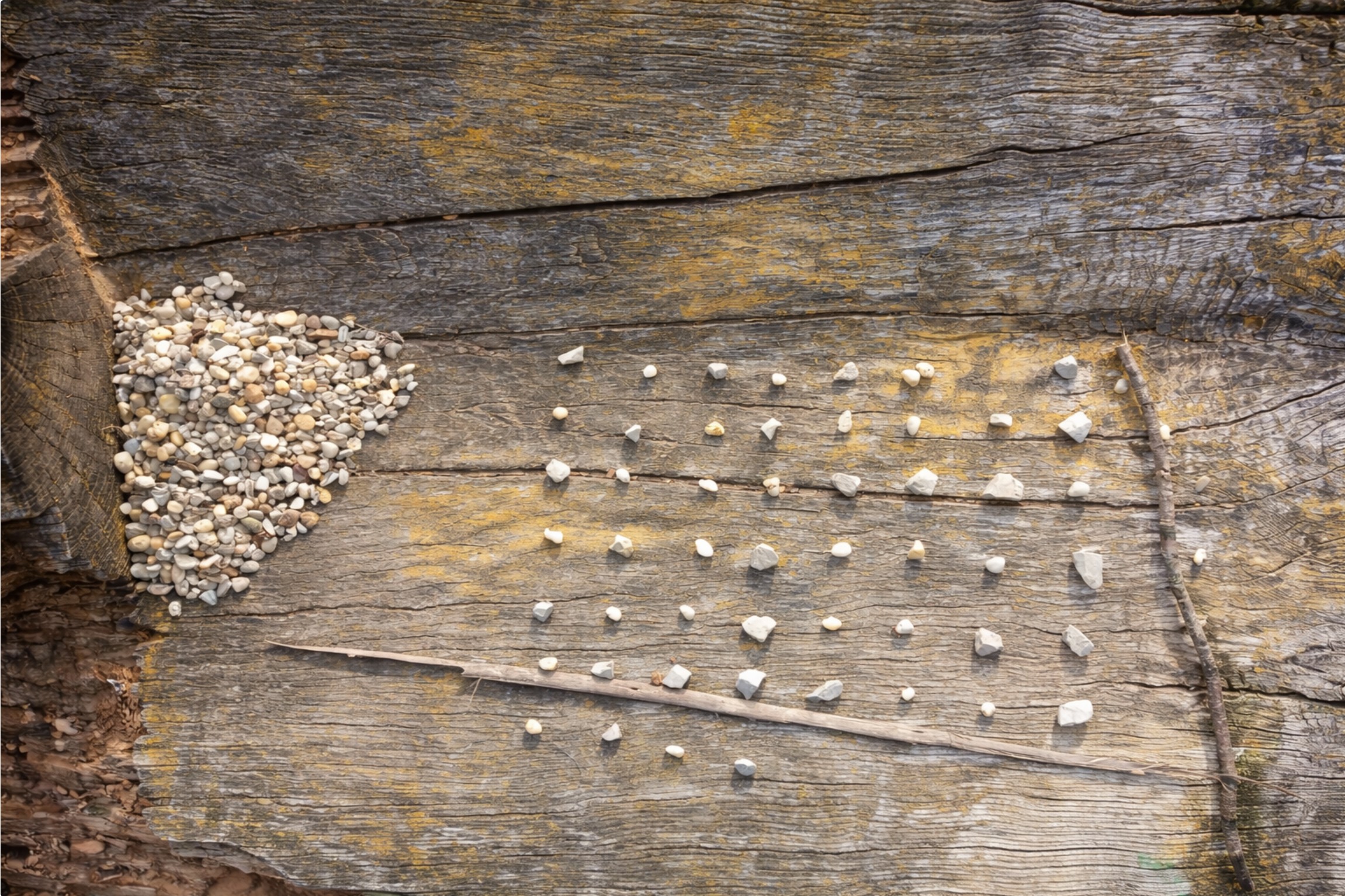 Naturdetail als ruhiges Hero-Bild